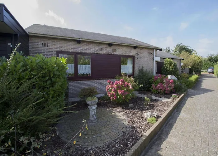 In Sint Maartenszee Near Dune