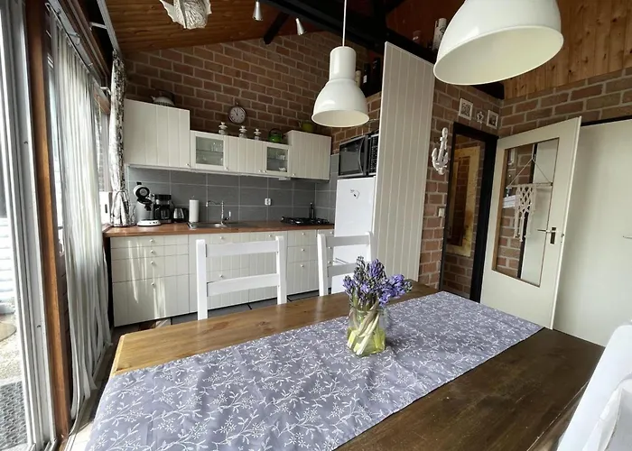 In Sint Maartenszee Near Dune Sint Maartensvlotbrug