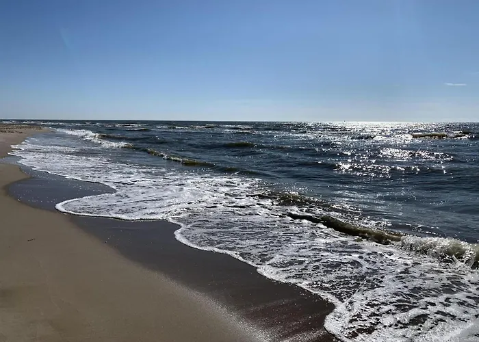 In Sint Maartenszee Near Dune * Sint Maartensvlotbrug