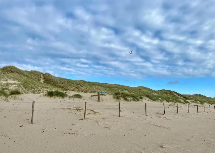 In Sint Maartenszee Near Dune Sint Maartensvlotbrug