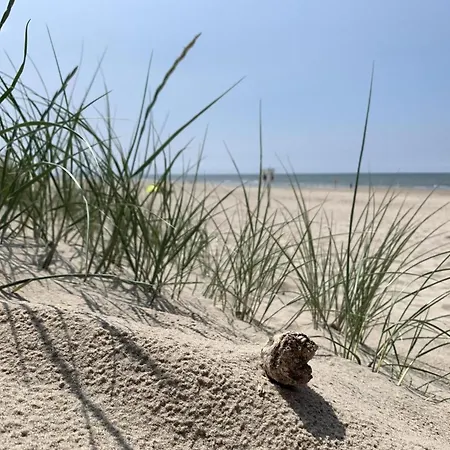 בית נופש In Sint Maartenszee Near Dune *