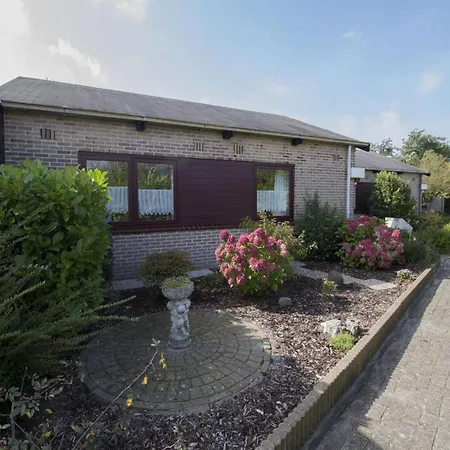 In Sint Maartenszee Near Dune