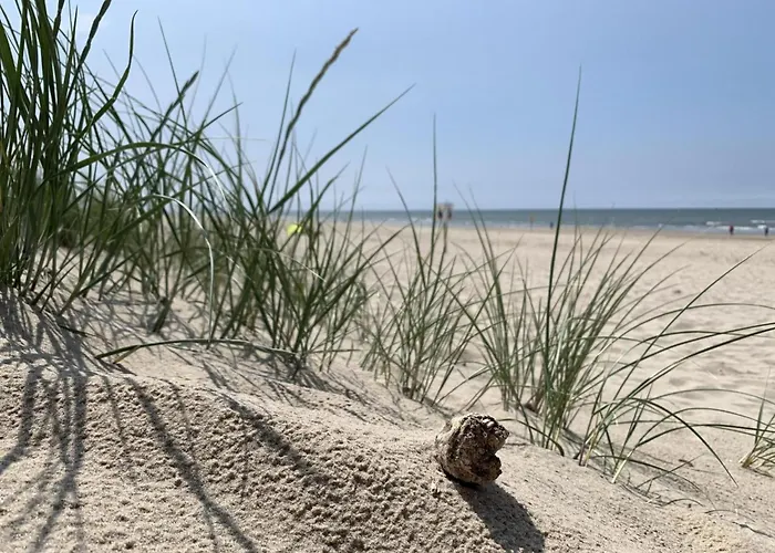 בית נופש In Sint Maartenszee Near Dune *