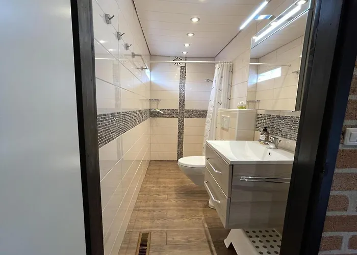 In Sint Maartenszee Near Dune *