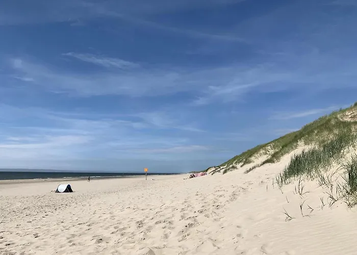 In Sint Maartenszee Near Dune Sint Maartensvlotbrug