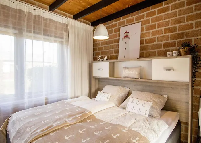 In Sint Maartenszee Near Dune *